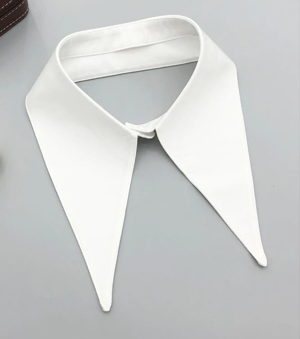 Minimalist detachable collar