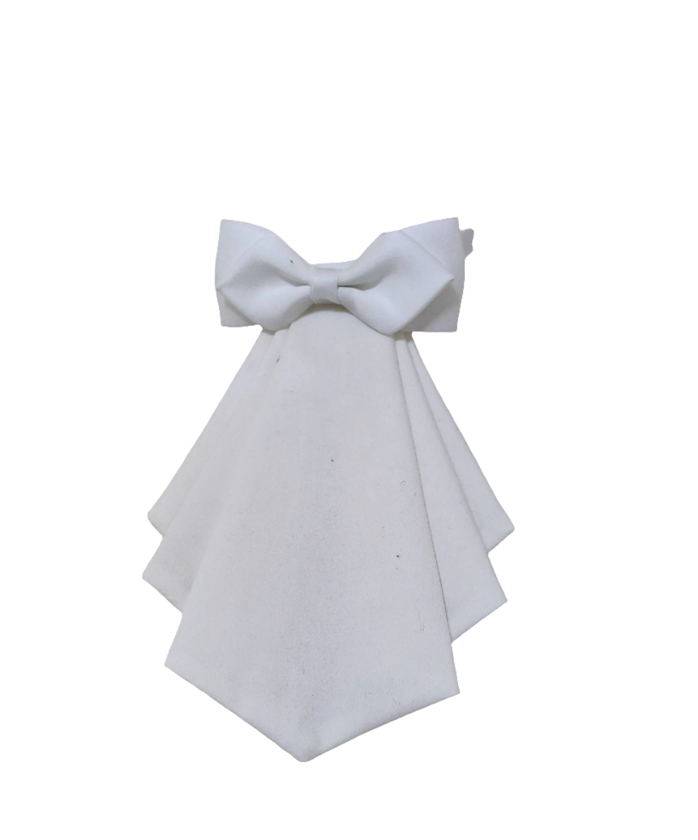 Vintage cravat bow tie