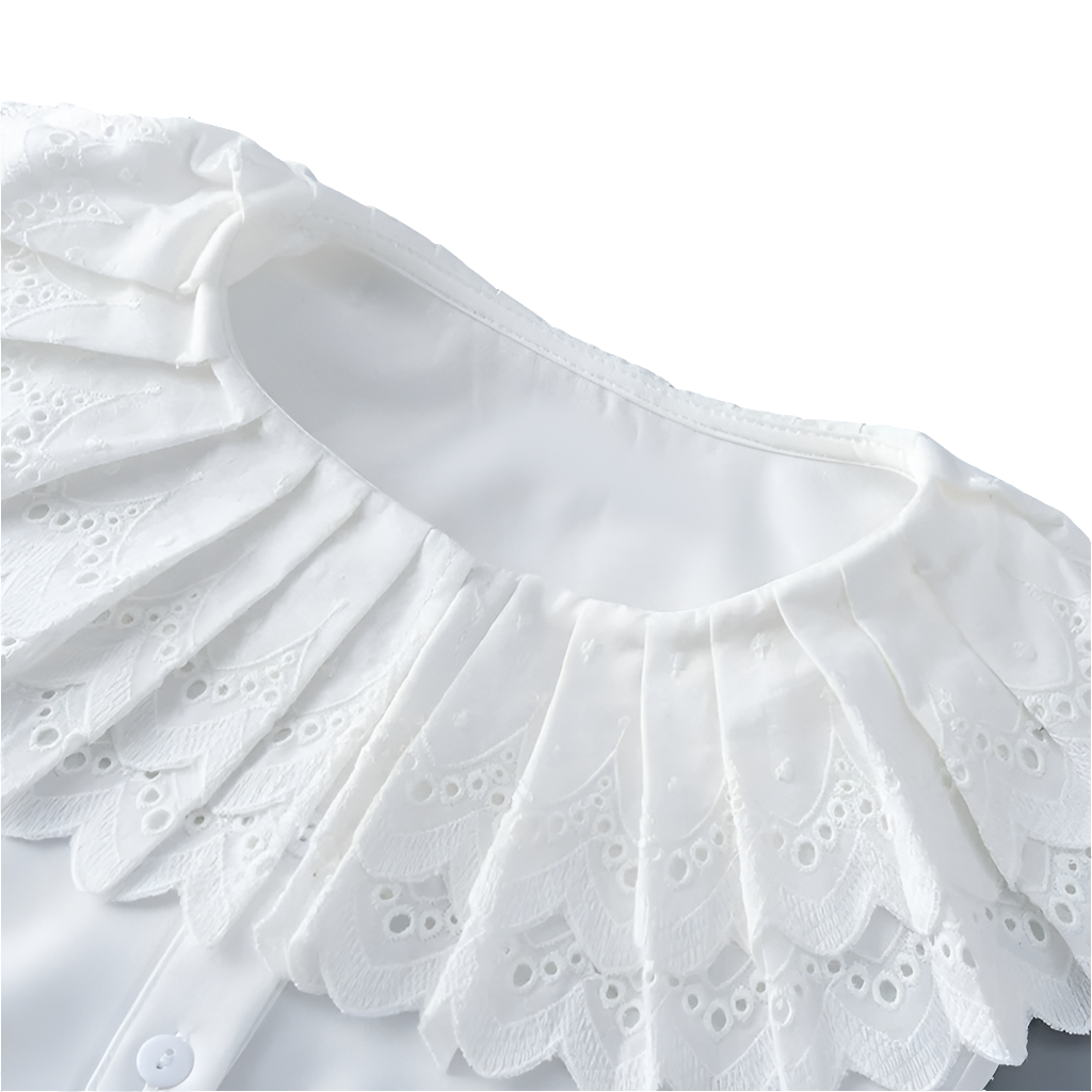 Detachable collar & sleeves