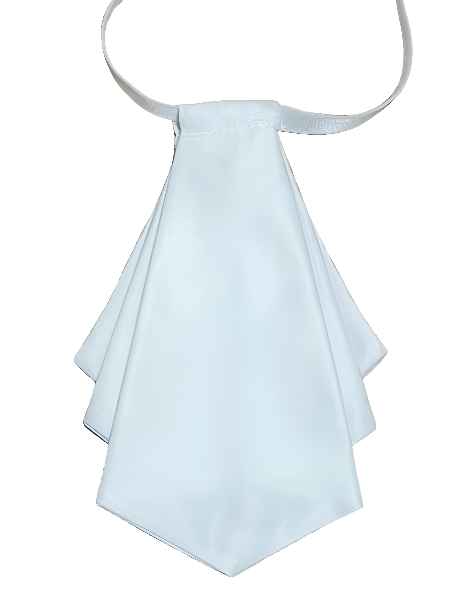 Vintage cravat bow tie