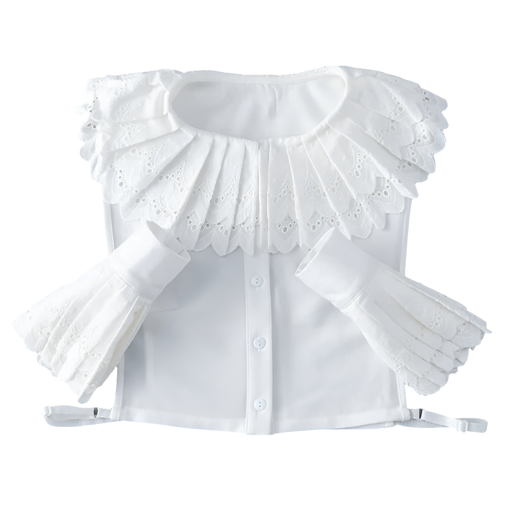 Detachable collar & sleeves